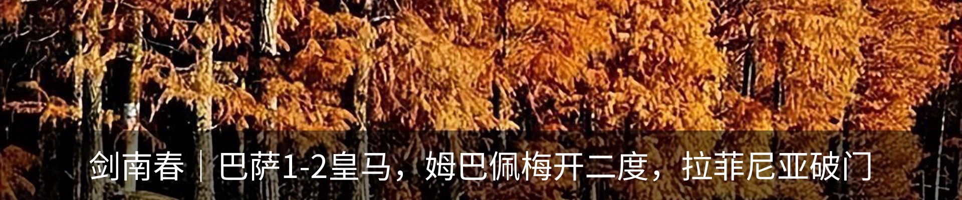 新闻中心