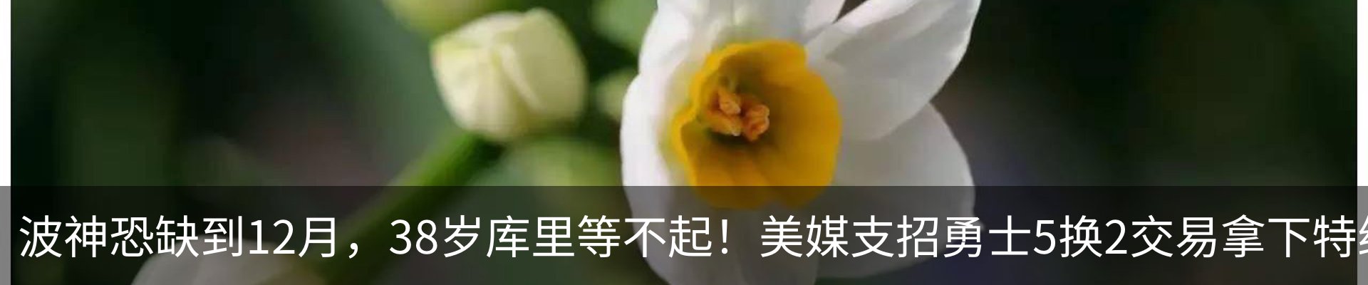 新闻中心