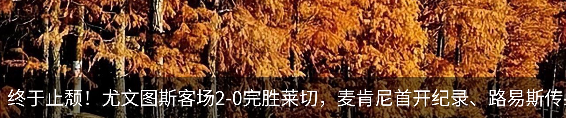 新闻中心