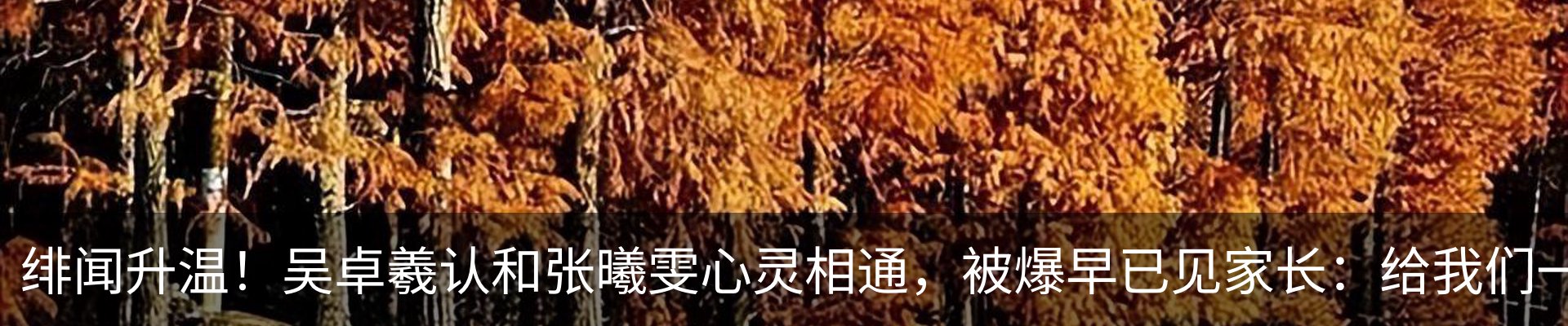 新闻中心
