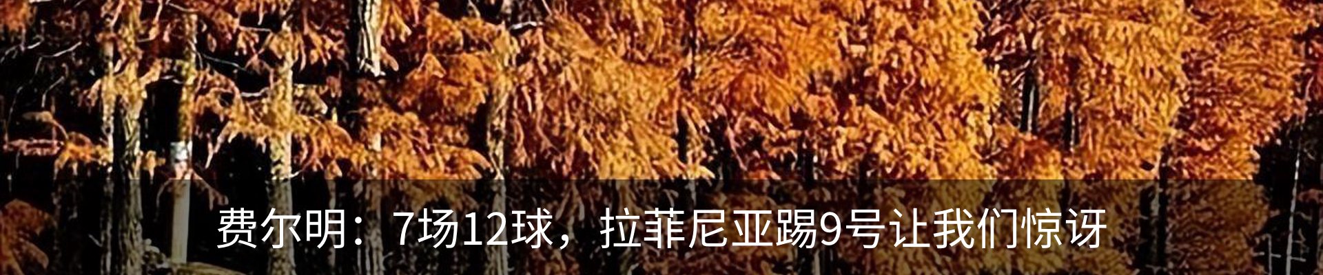新闻中心
