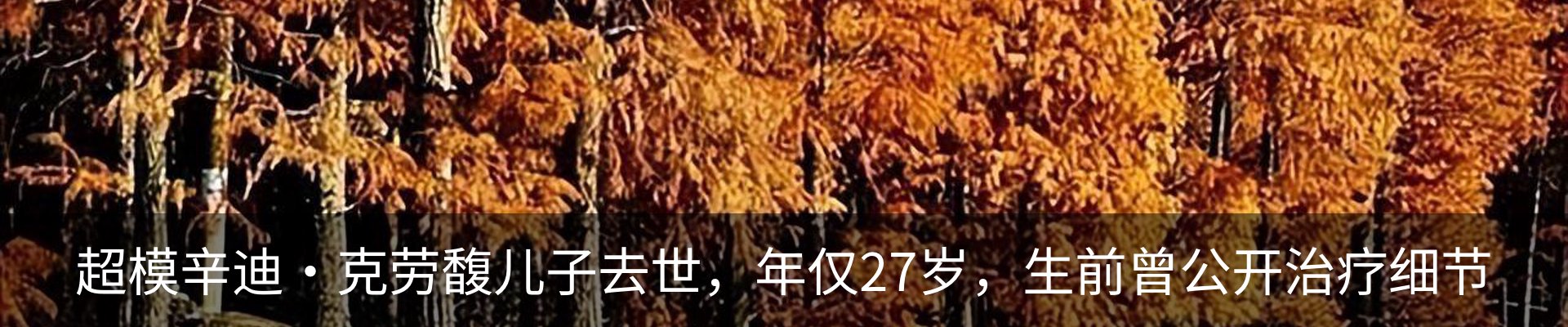 新闻中心