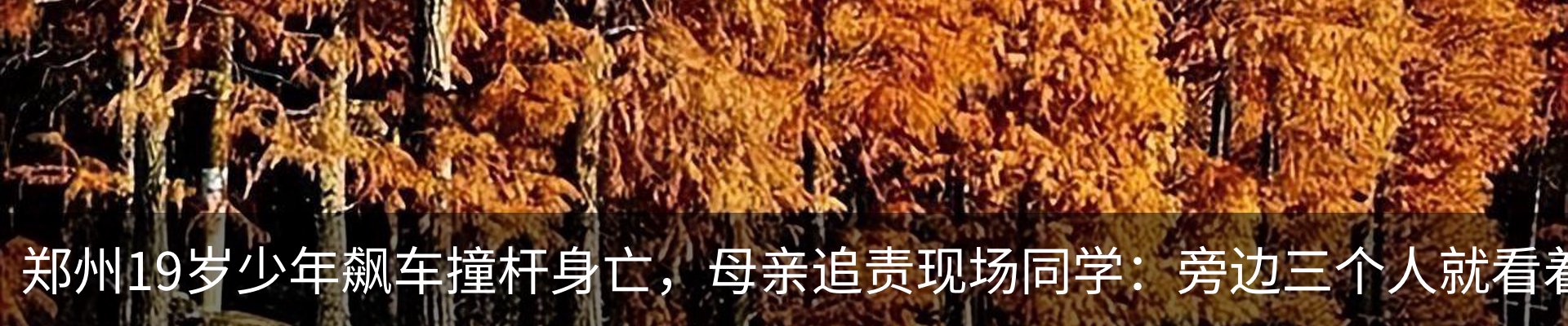 新闻中心