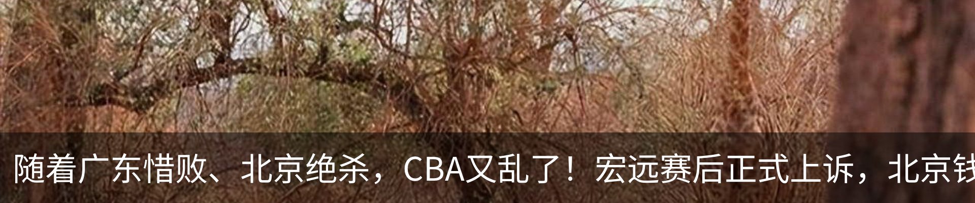 新闻中心