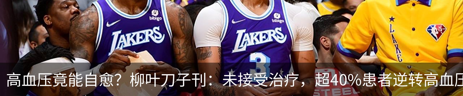 新闻中心