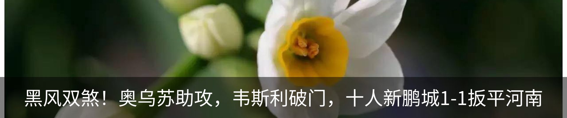 新闻中心