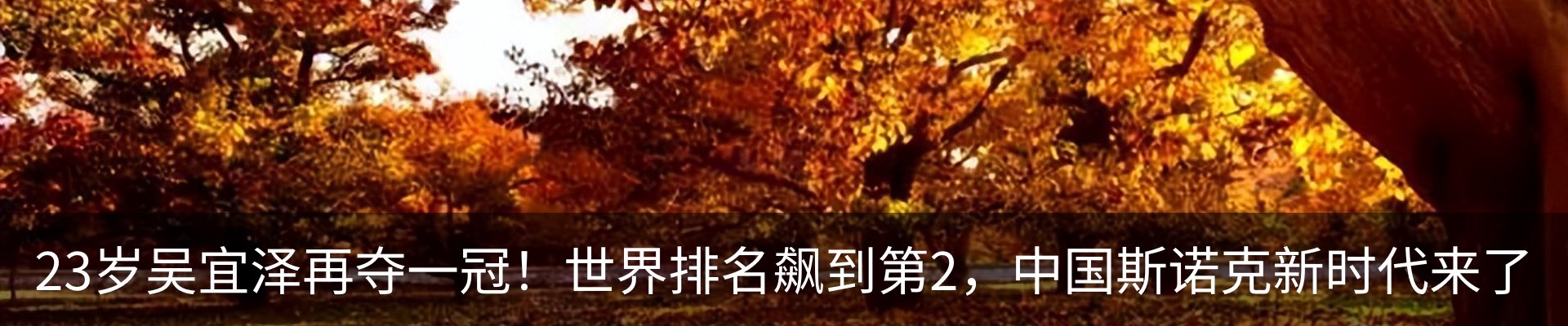 新闻中心